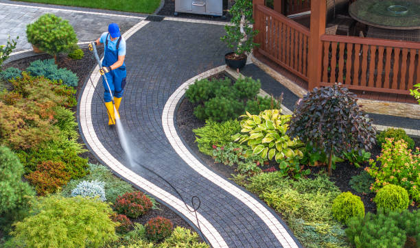 Best Roof Power Washing Services  in Durham, NC